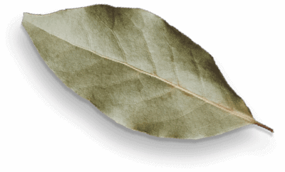 spice-shop-37