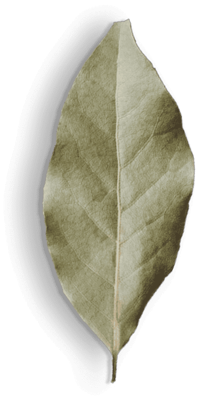 spice-shop-40